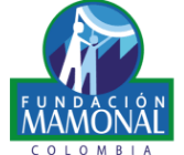 Fundacion-Mamonal