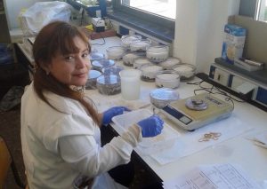 profesora Rosa Leonor Acevedo pruebas toxicidad ambiental