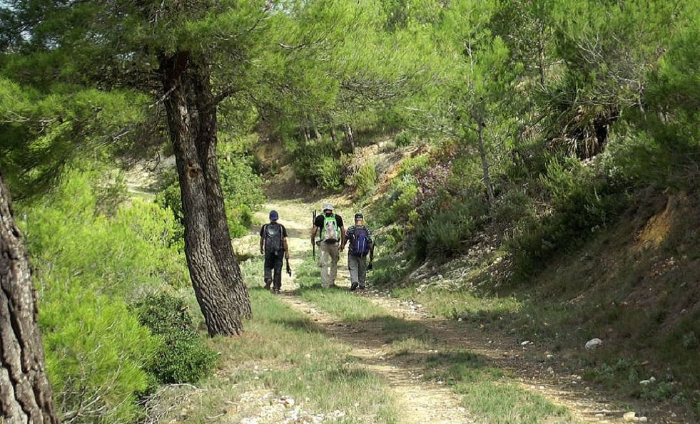 proyecto de marca en los montes de maría