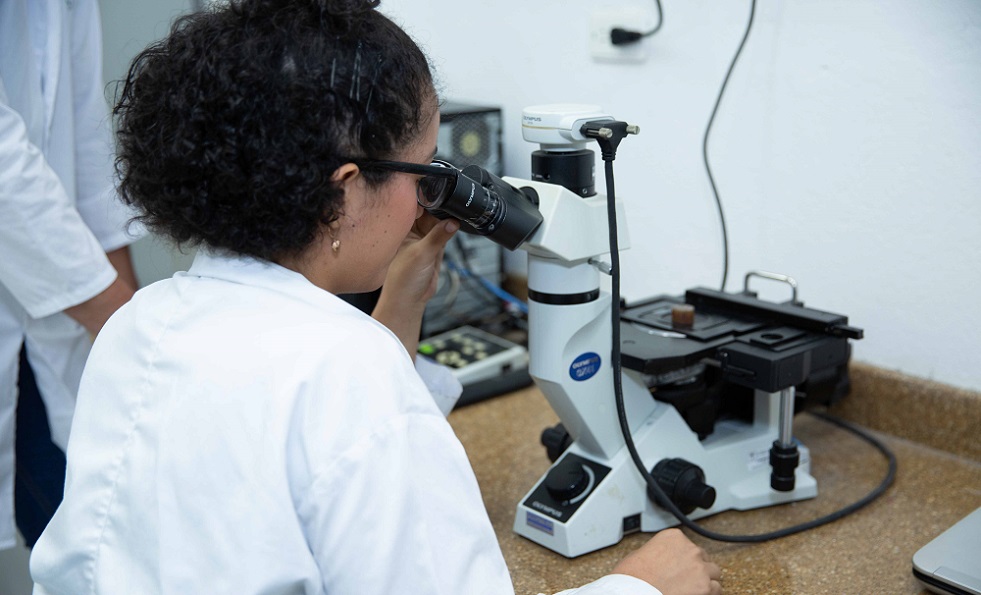 Mujeres y carreras stem