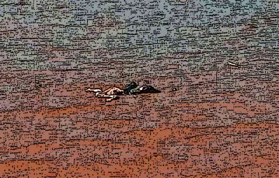 Las ánimas del río