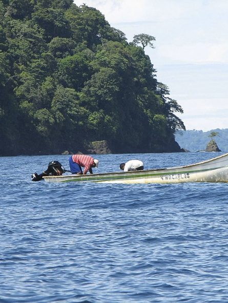 Quinta foto (pesca artesanal)