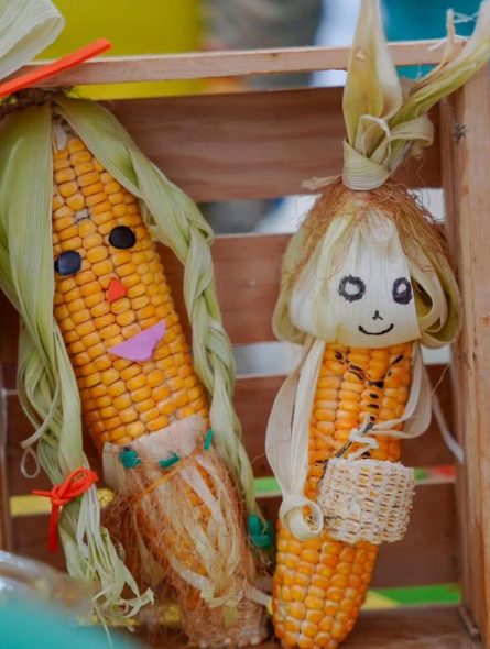 Festival del bollo de mazorca. // Foto: Cortesía