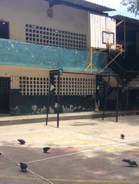 El espacio de la cancha que no tiene mallas, un el tablero de baloncesto en mal estado, es aprovechado por las palomas. //Foto Cortesía Isaac Duarte